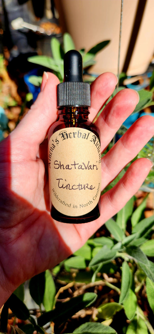 Shatavari Tincture- Vegetable Glycerin based