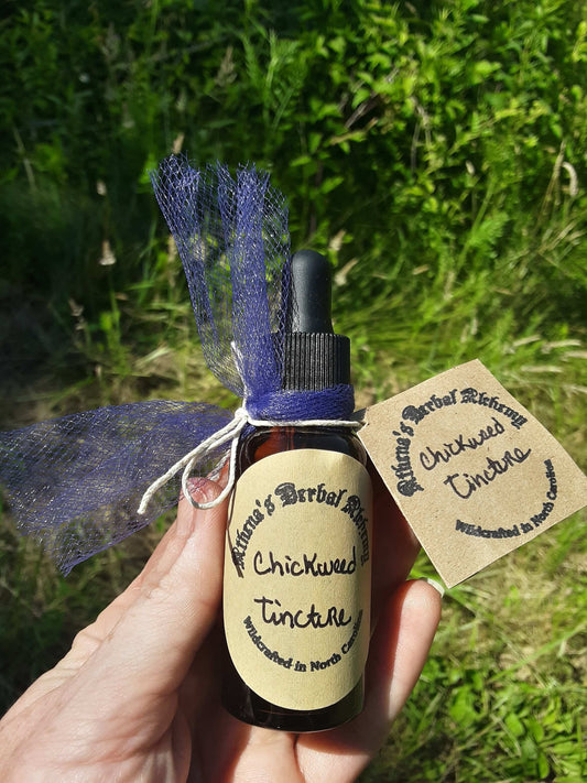 Chickweed Tincture~Fresh Flower essence~Wildcrafted, Organic, Spring - Athena's Herbal Alchemy