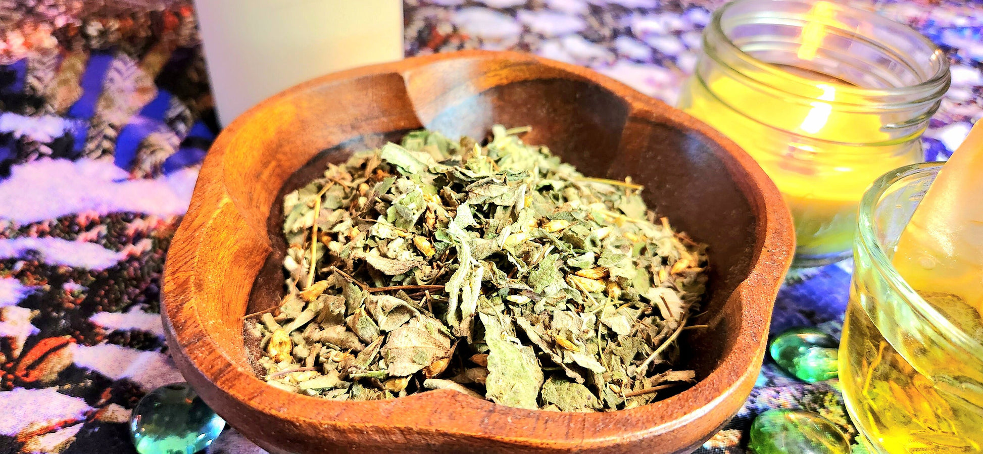 Lucid Dream Tea~Calea Zecatechichi Dream Herb, Fresh Dried, High Quality, Tea bags included - Athena's Herbal Alchemy