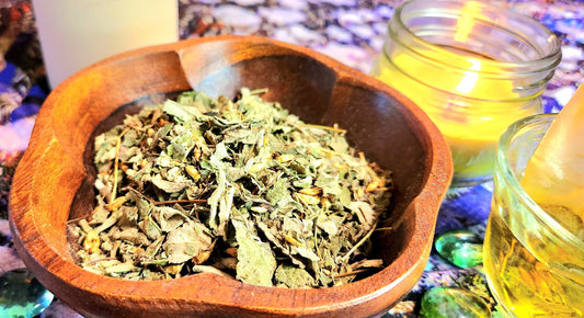 Lucid Dream Tea~Calea Zecatechichi Dream Herb, Fresh Dried, High Quality, tea bags included - Athena's Herbal Alchemy