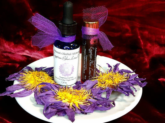Egyption Blue Lotus Ritual, Lucid Dream,  Anointing  Oil~Jojoba and Extra Virgin Olive Oil